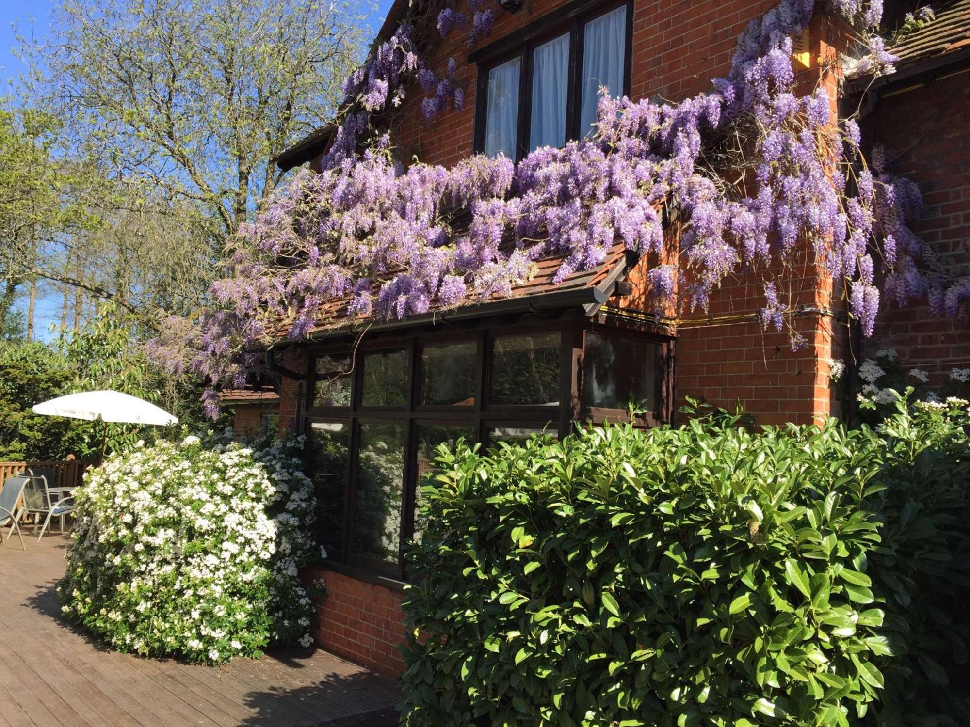 The Casa Hotel, Sure Hotel Collection By Best Western Yateley Dış mekan fotoğraf